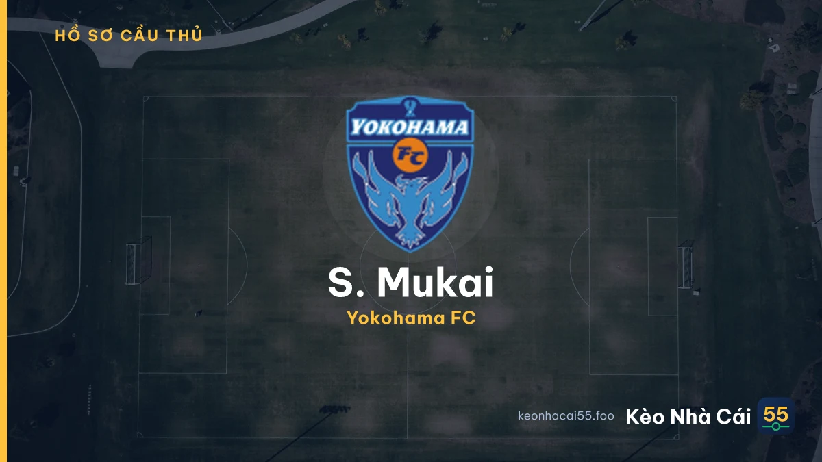 S. Mukai