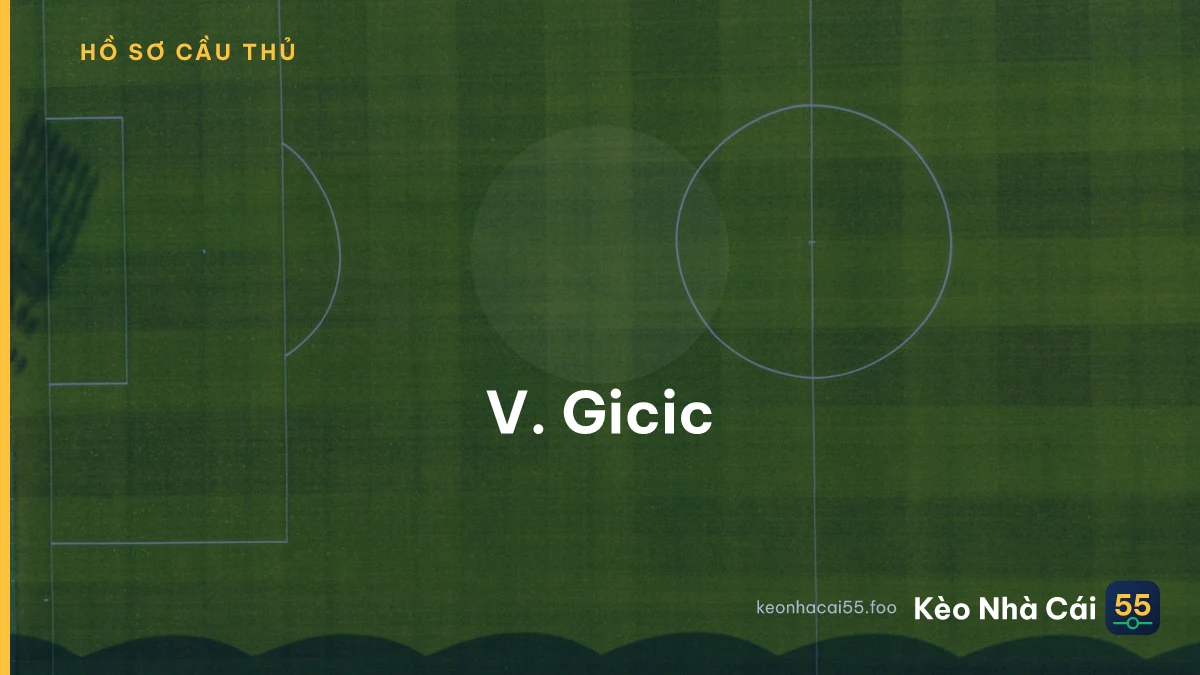 V. Gicic