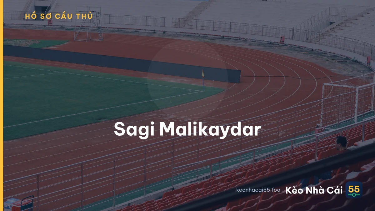Sagi Malikaydar