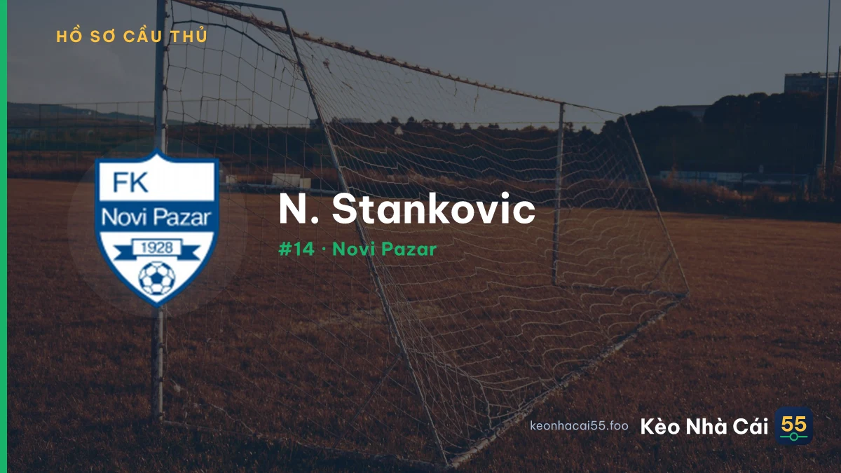 N. Stankovic — Novi Pazar
