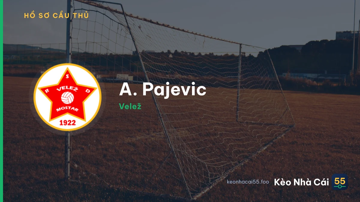 A. Pajevic