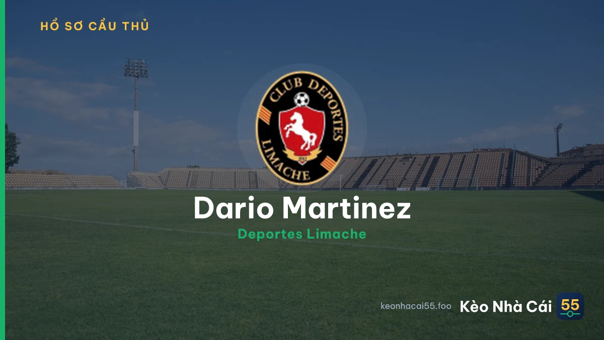 Dario Martinez — Deportes Limache