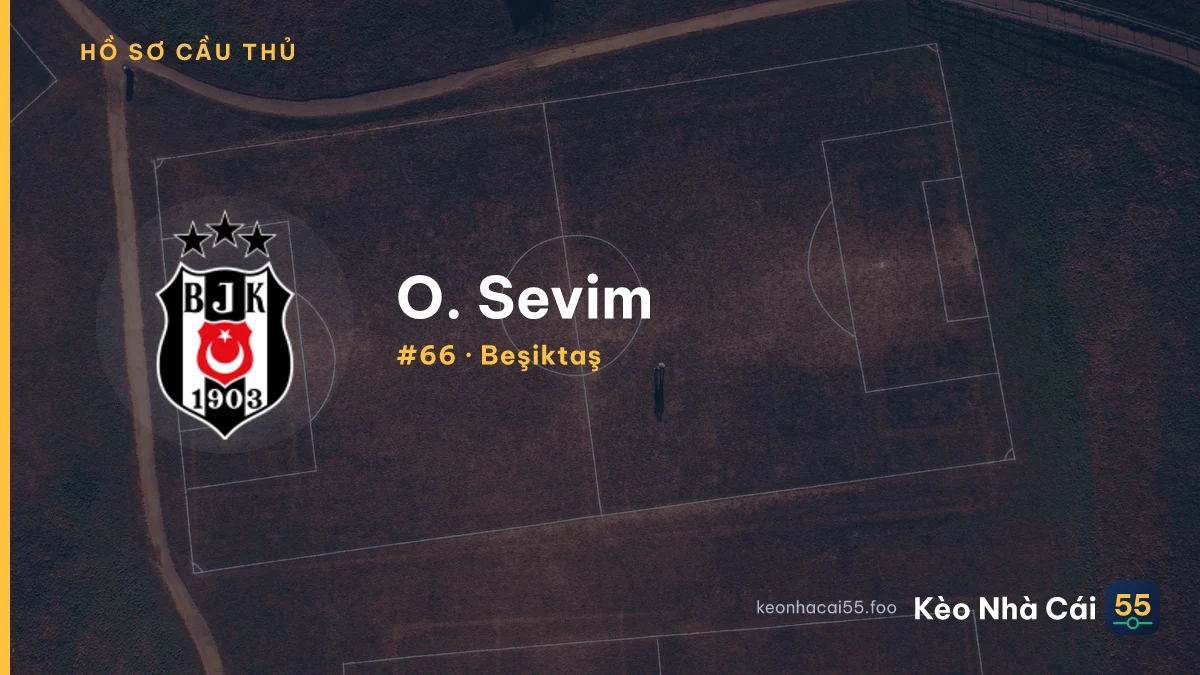 O. Sevim