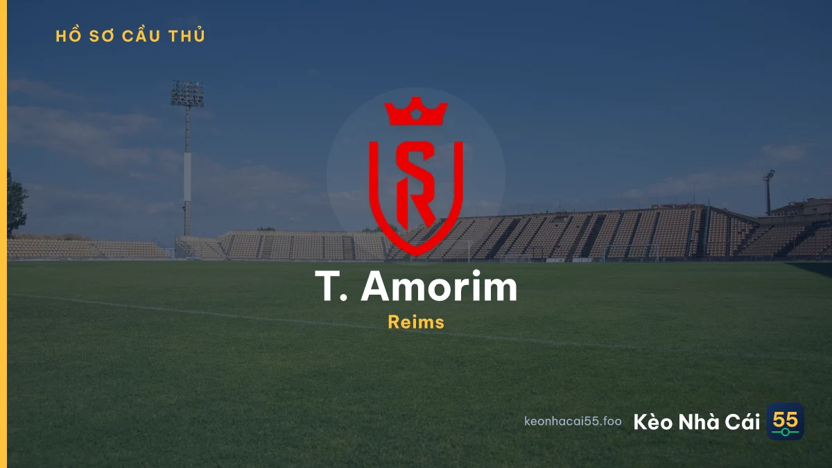 T. Amorim