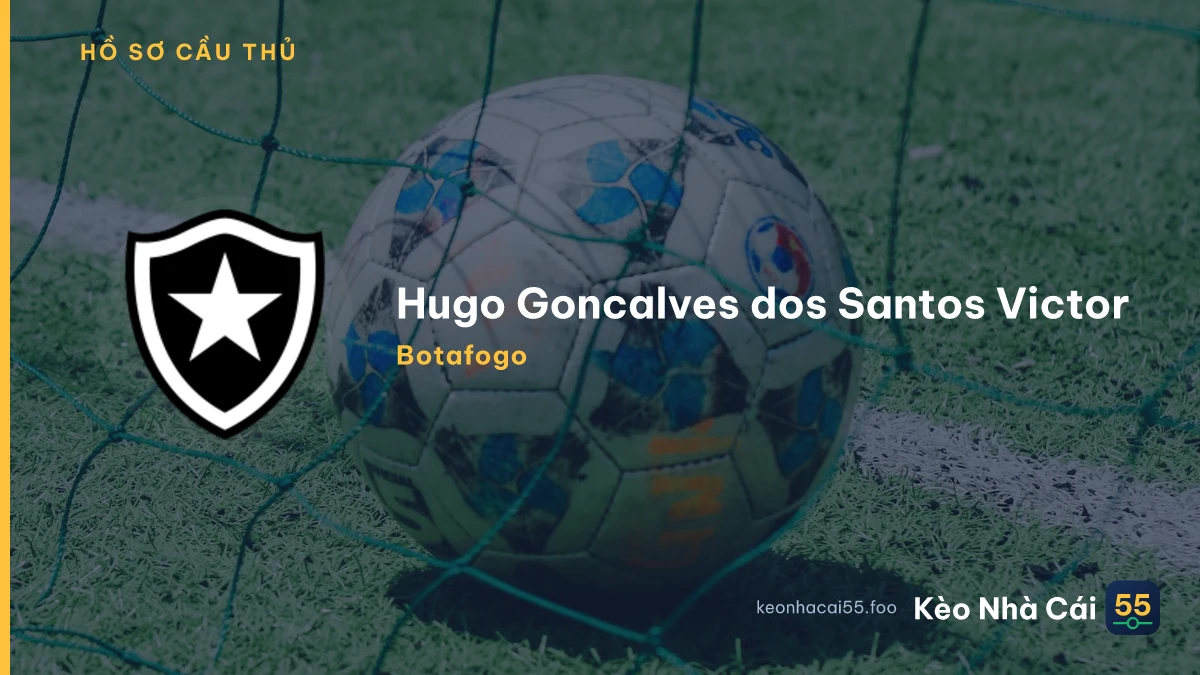 Hugo Goncalves dos Santos Victor