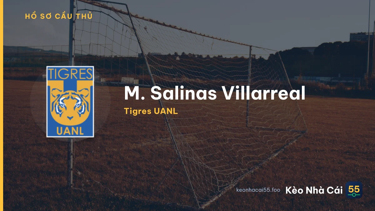 M. Salinas Villarreal