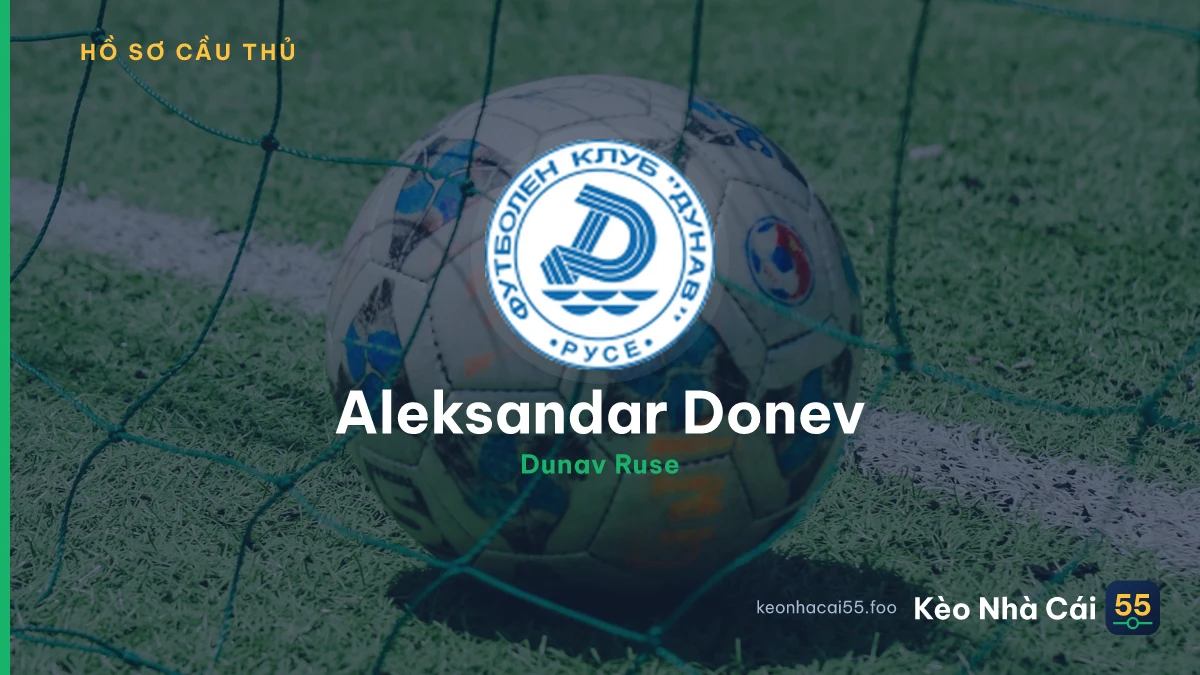 Aleksandar Donev