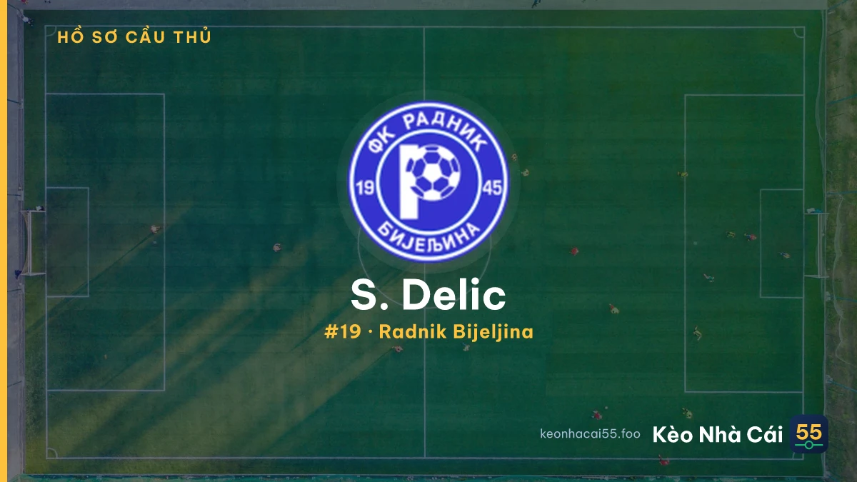 S. Delic — Radnik Bijeljina