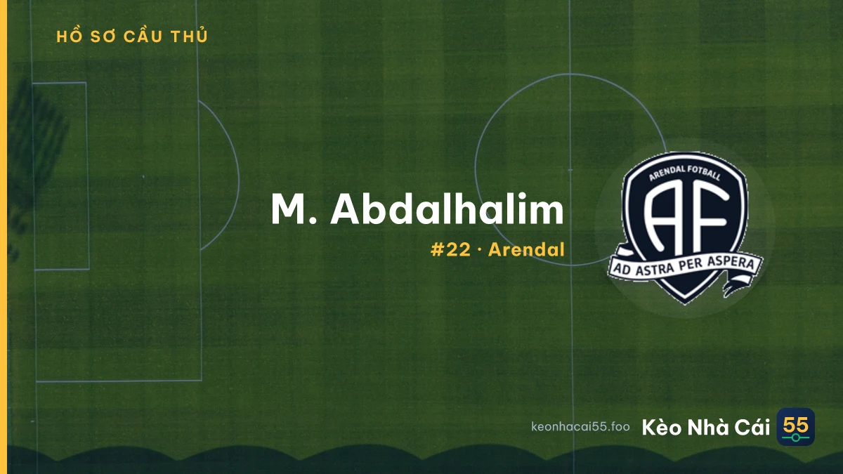M. Abdalhalim — Arendal