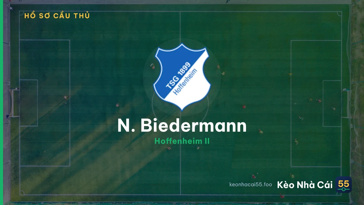 N. Biedermann — Hoffenheim II