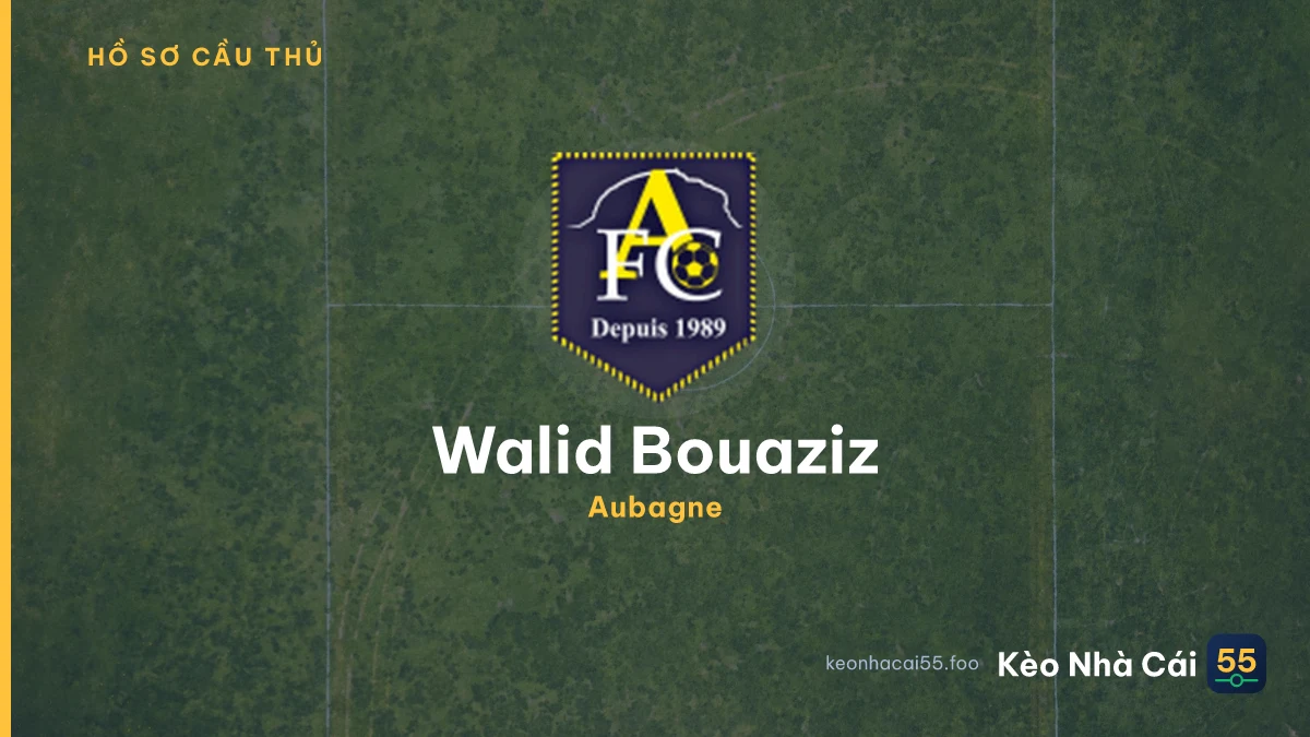 Walid Bouaziz