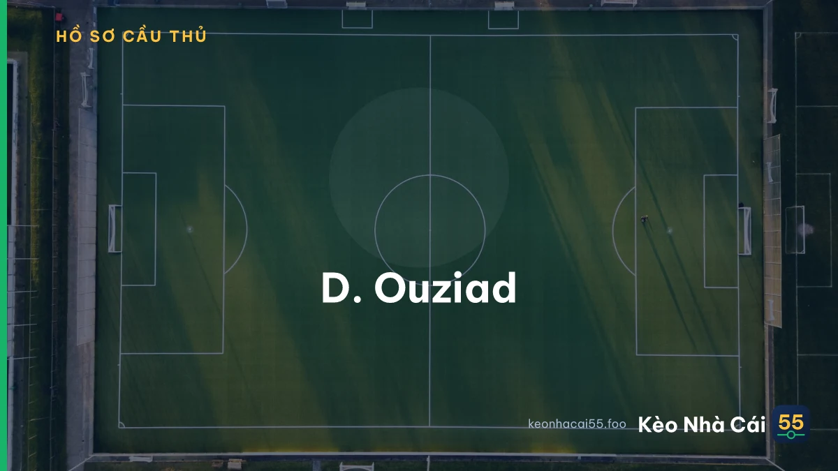 D. Ouziad
