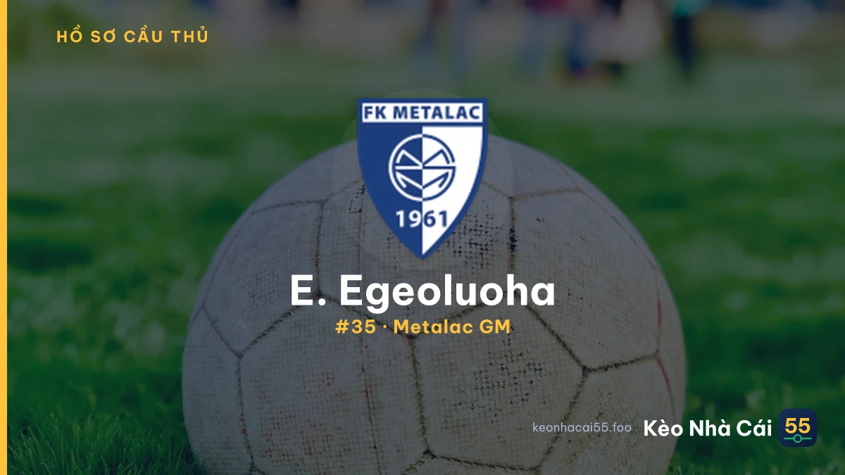 E. Egeoluoha — Metalac GM