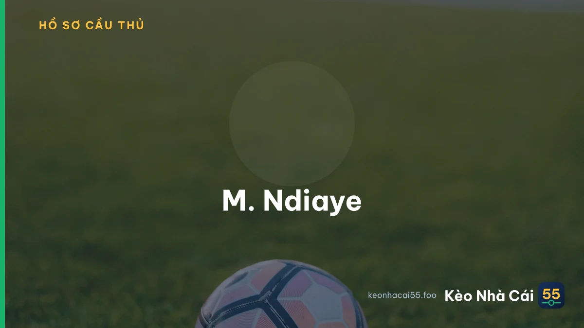 M. Ndiaye