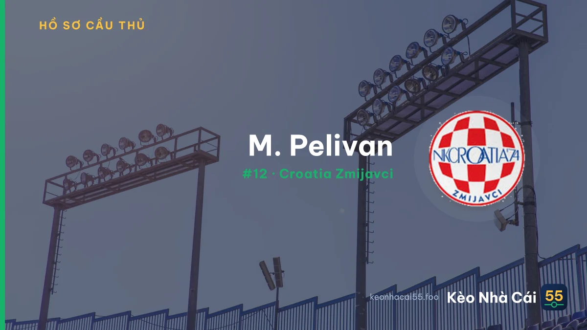 M. Pelivan
