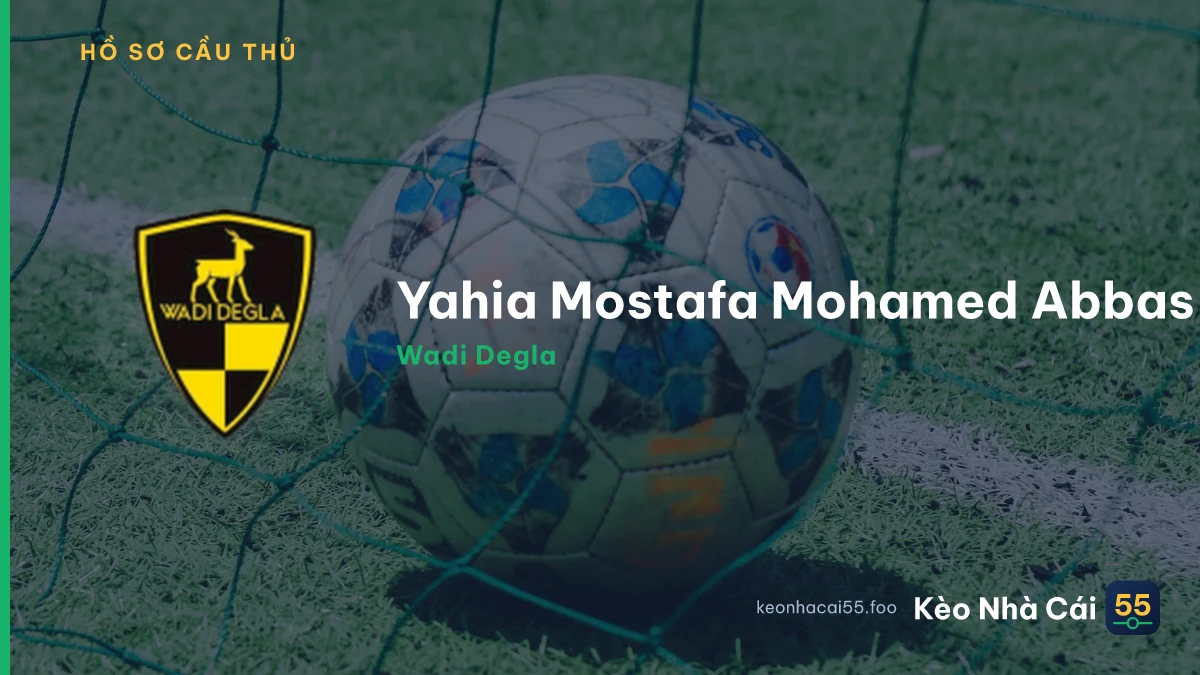Yahia Mostafa Mohamed Abbas — Wadi Degla