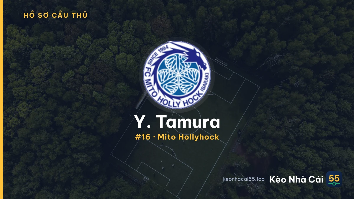 Y. Tamura