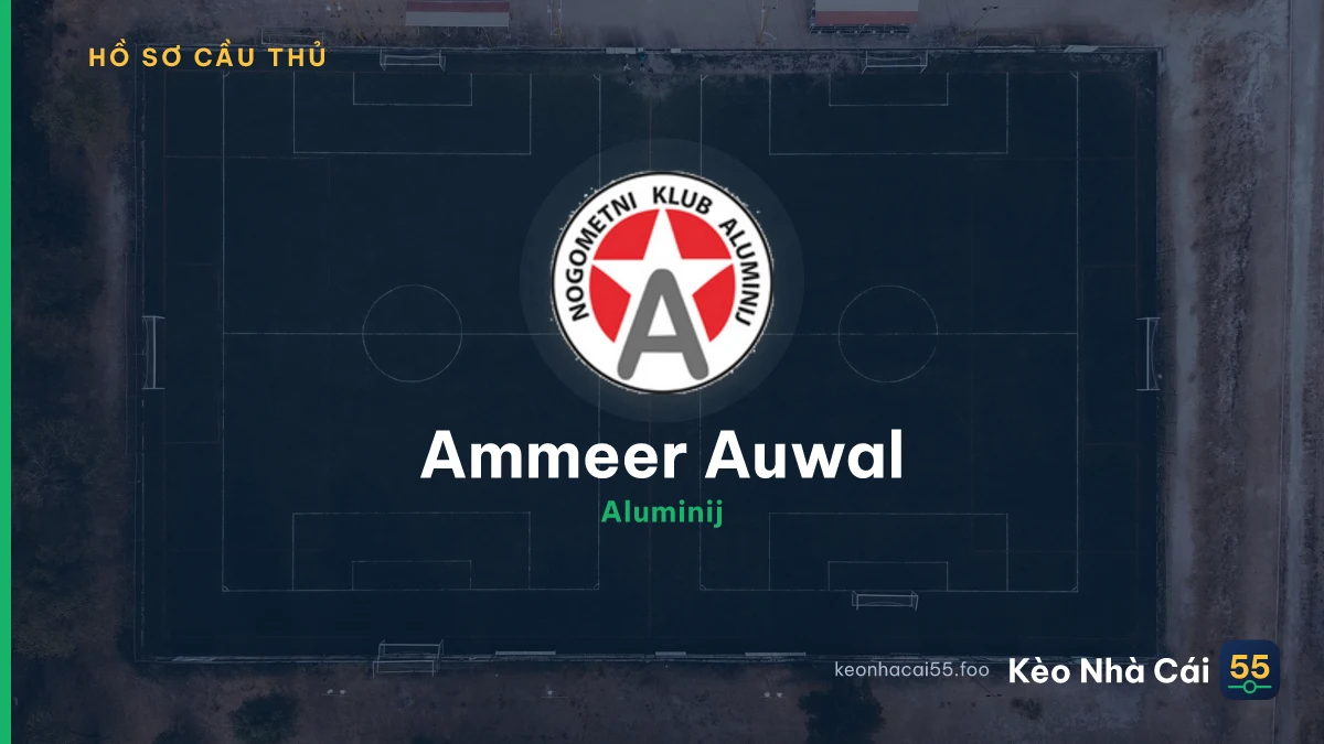 Ammeer Auwal