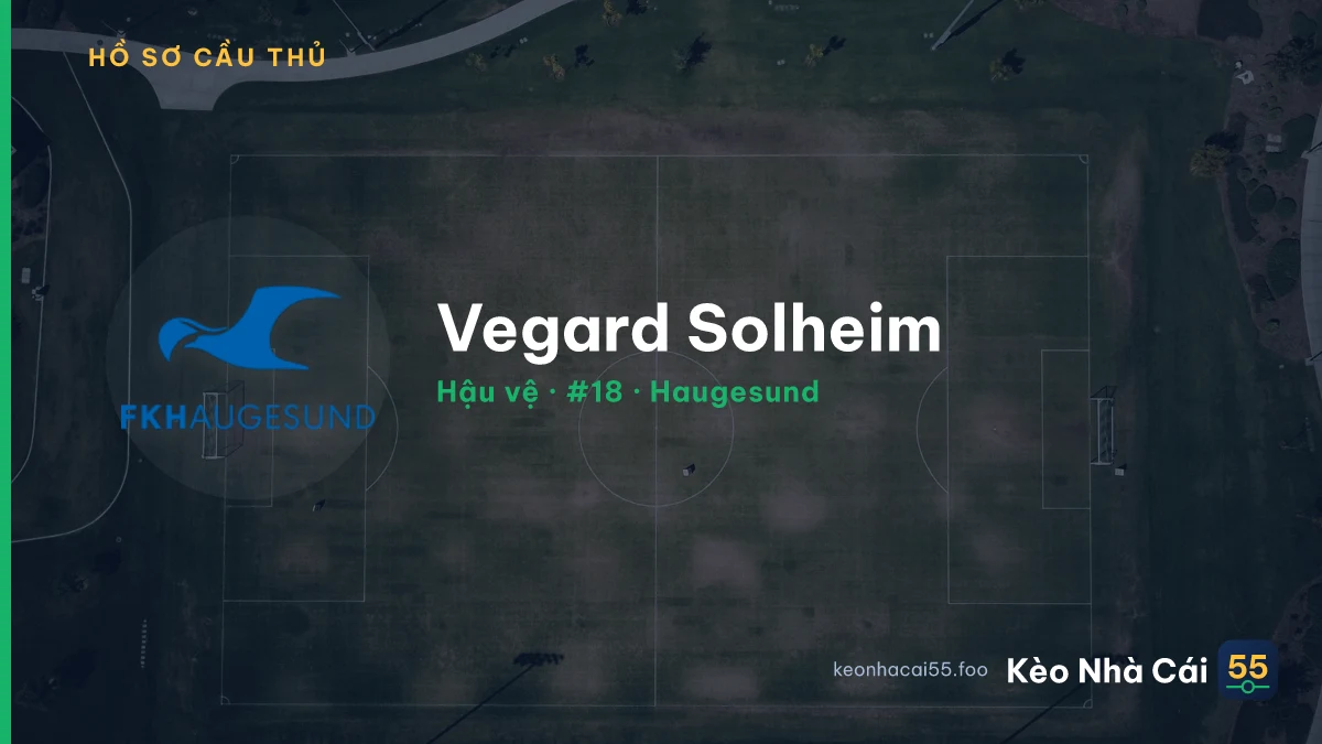 Vegard Solheim — Haugesund