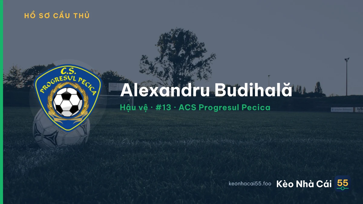 Alexandru Budihală — ACS Progresul Pecica