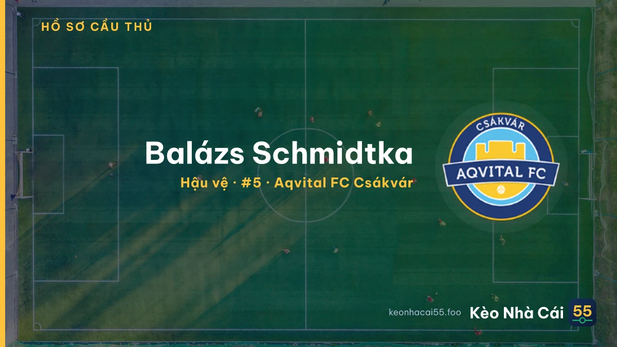 Balázs Schmidtka — Aqvital FC Csákvár
