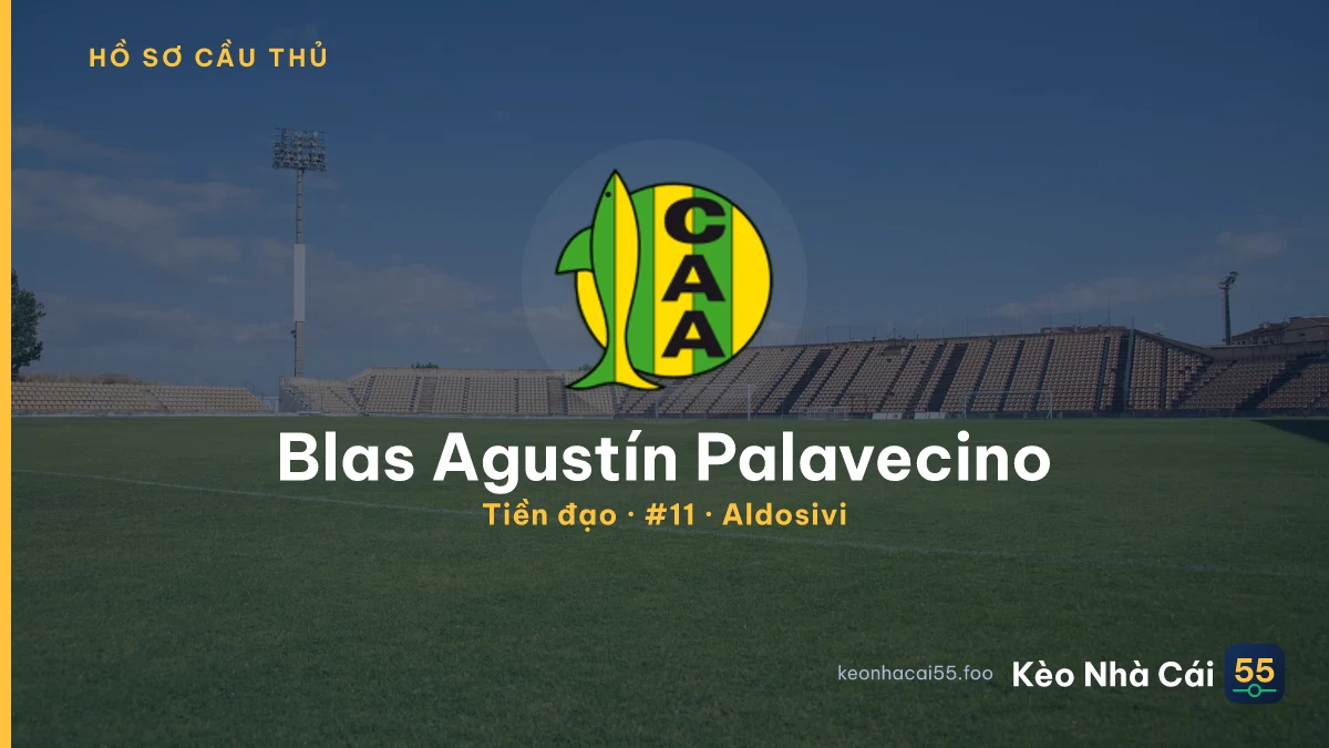 Blas Agustín Palavecino — Aldosivi