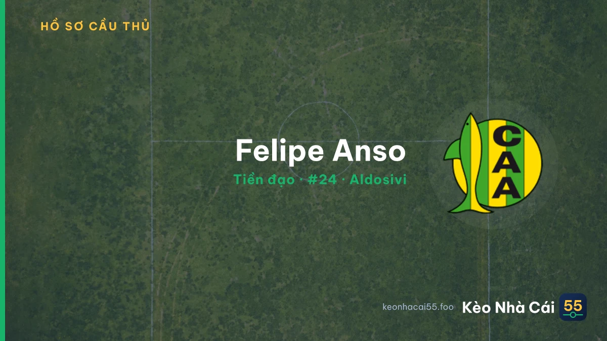 Felipe Anso — Aldosivi
