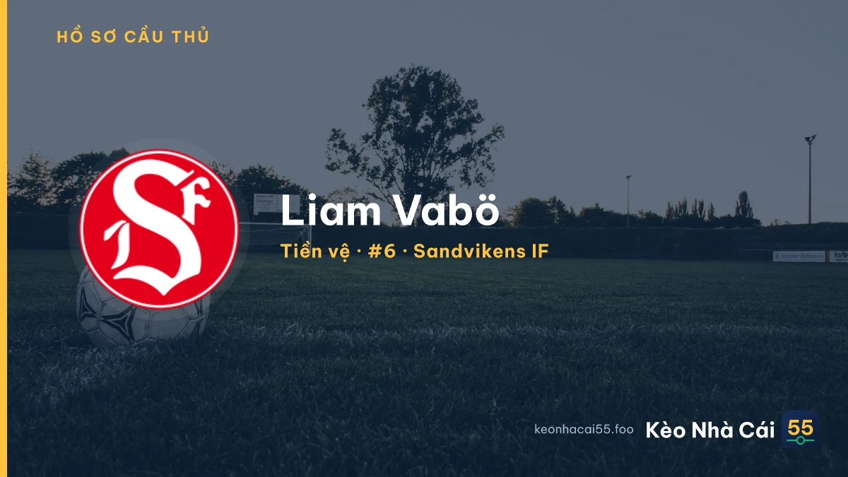 Liam Vabö — Sandvikens IF