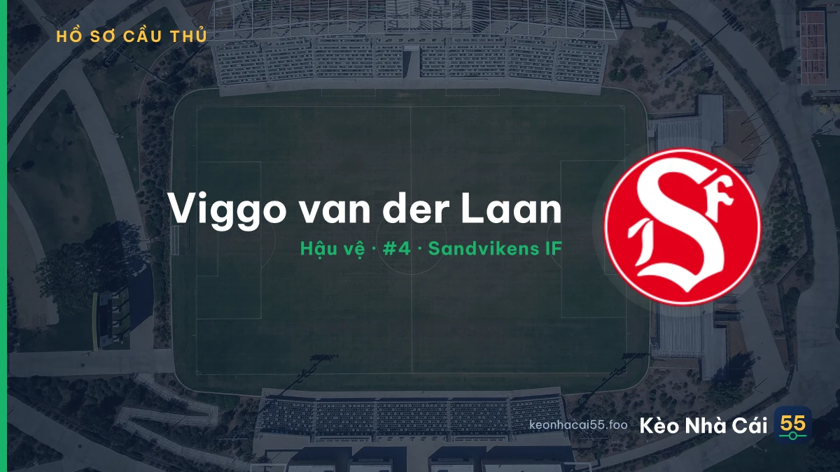 Viggo van der Laan — Sandvikens IF