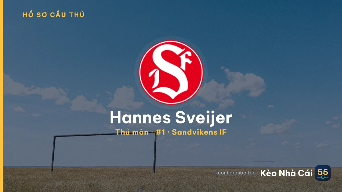 Hannes Sveijer — Sandvikens IF