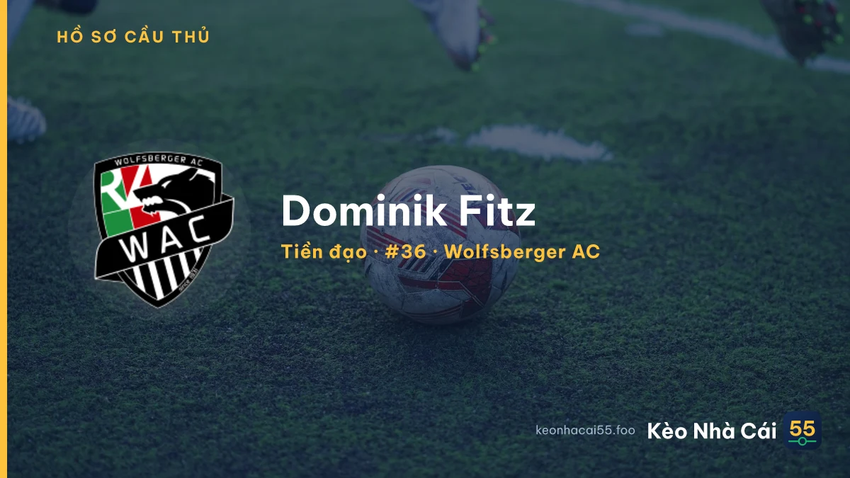 Dominik Fitz — Wolfsberger AC