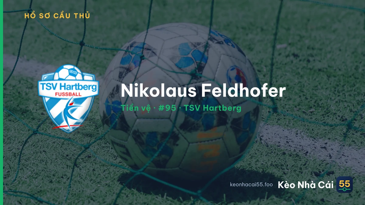 Nikolaus Feldhofer — TSV Hartberg