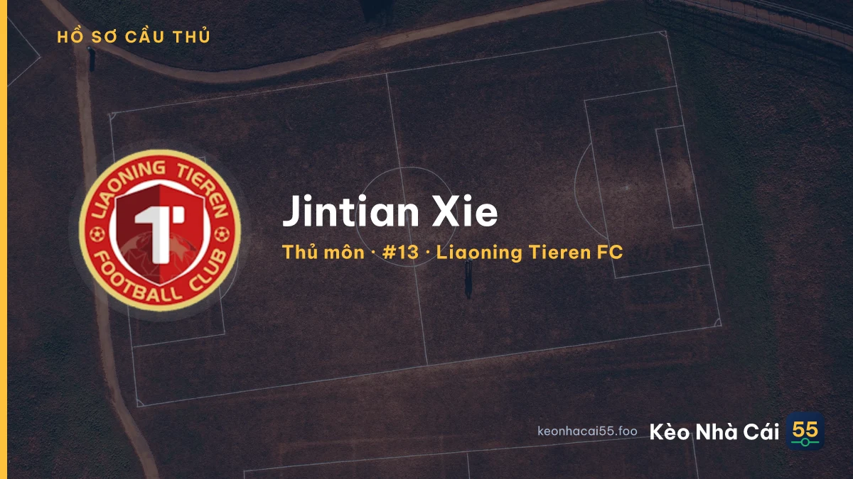 Jintian Xie — Liaoning Tieren FC