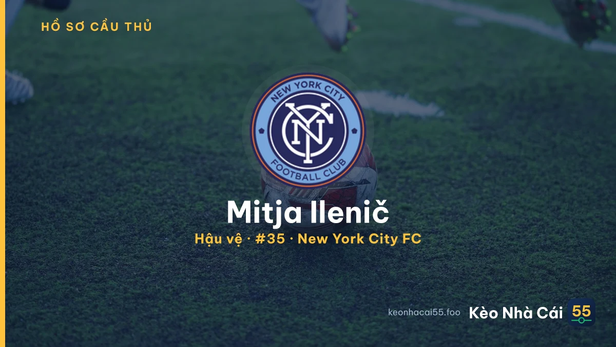 Mitja Ilenič — New York City FC