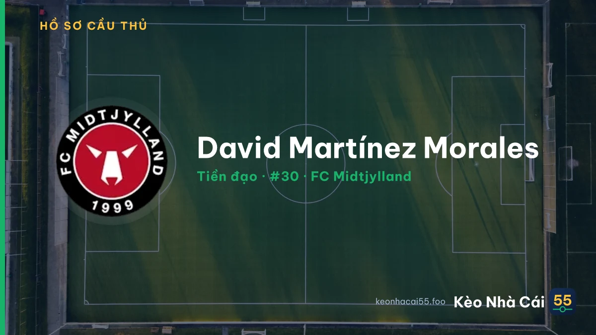 David Martínez Morales — FC Midtjylland