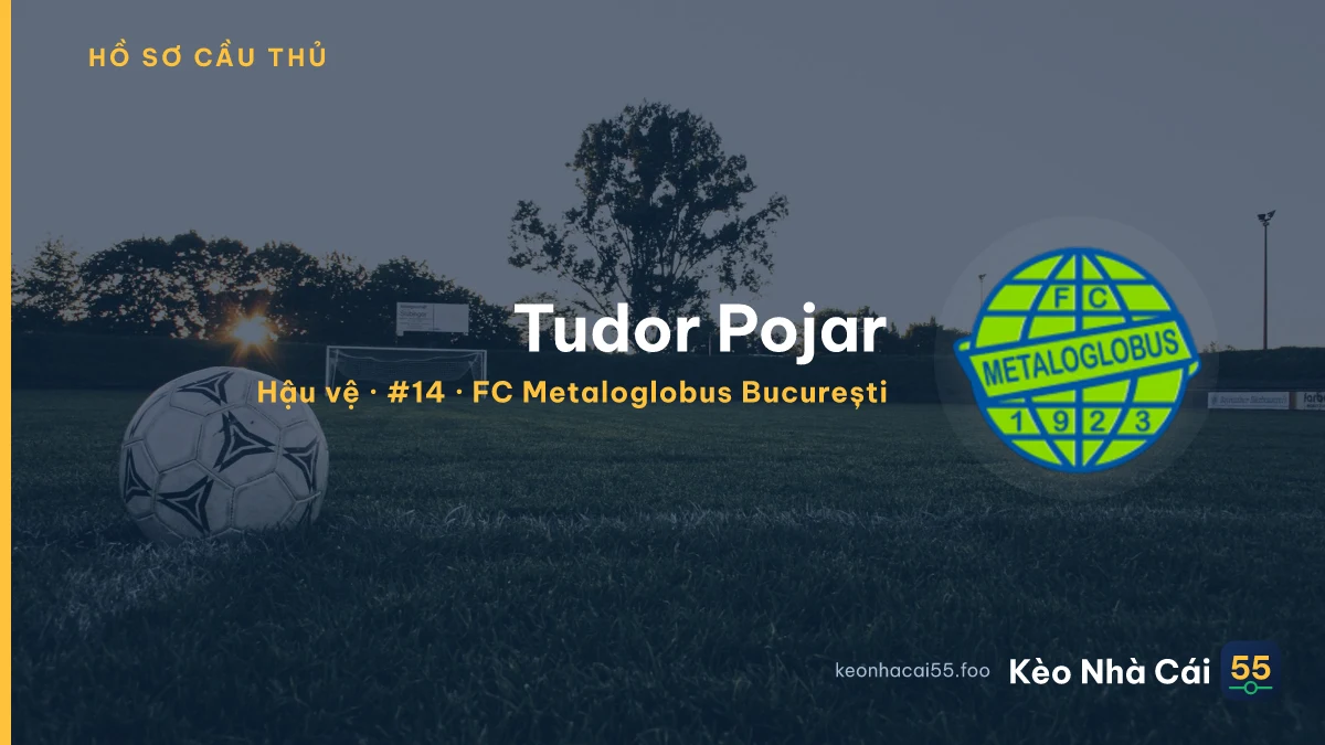 Tudor Pojar — FC Metaloglobus București