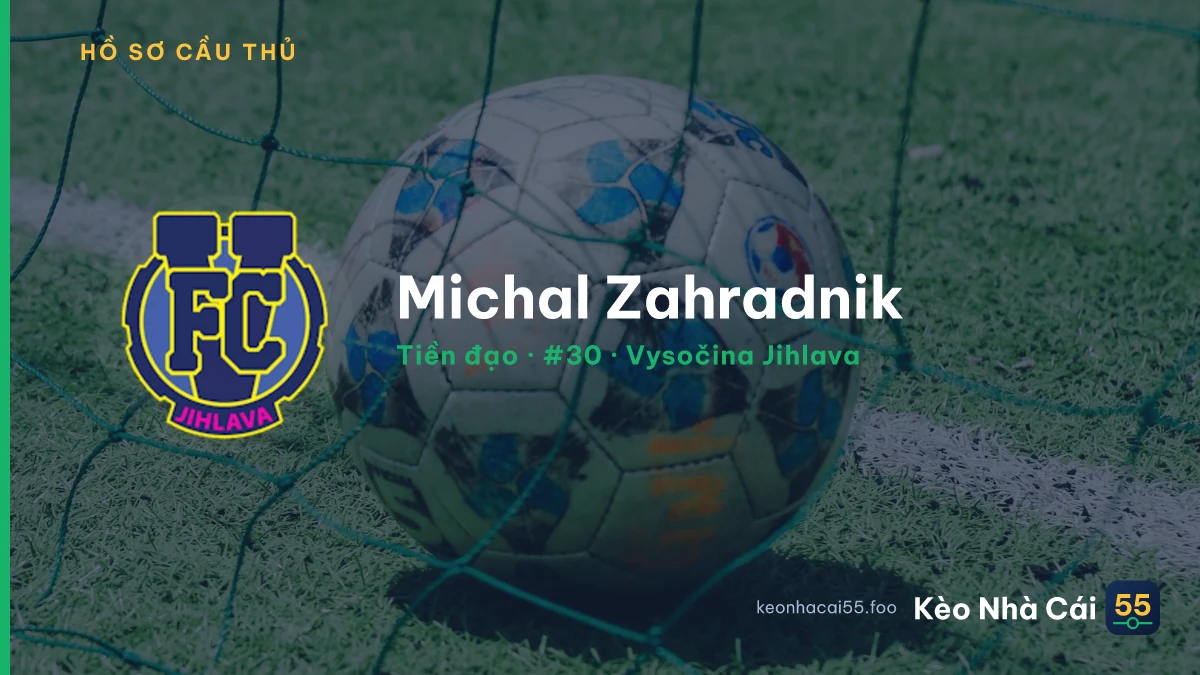 Michal Zahradnik — Vysočina Jihlava