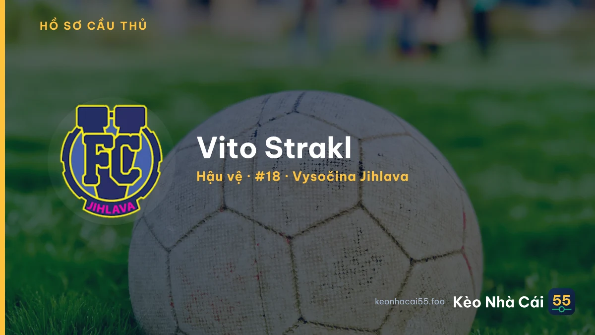 Vito Strakl — Vysočina Jihlava