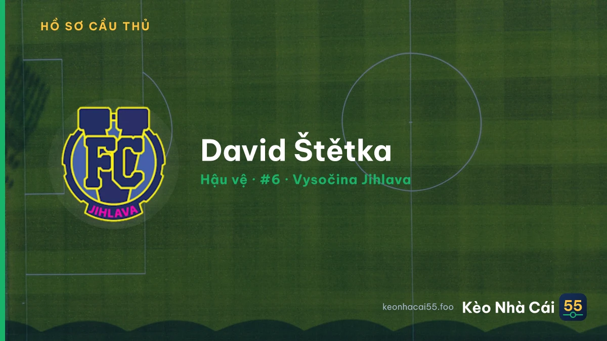 David Štětka — Vysočina Jihlava