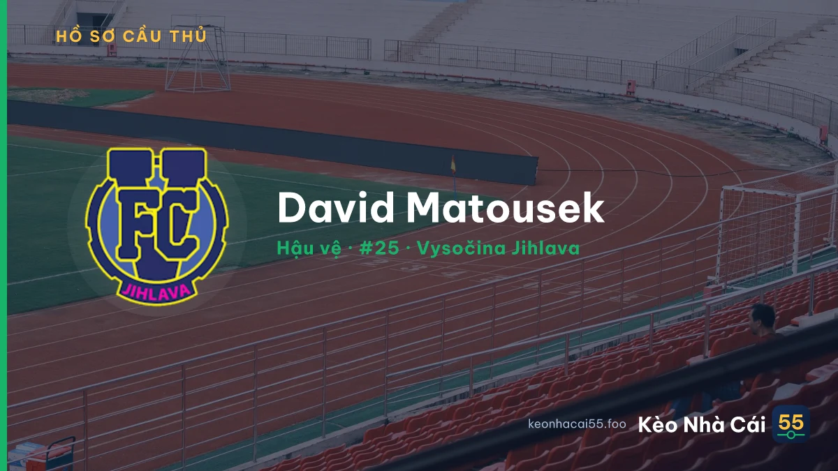 David Matousek — Vysočina Jihlava