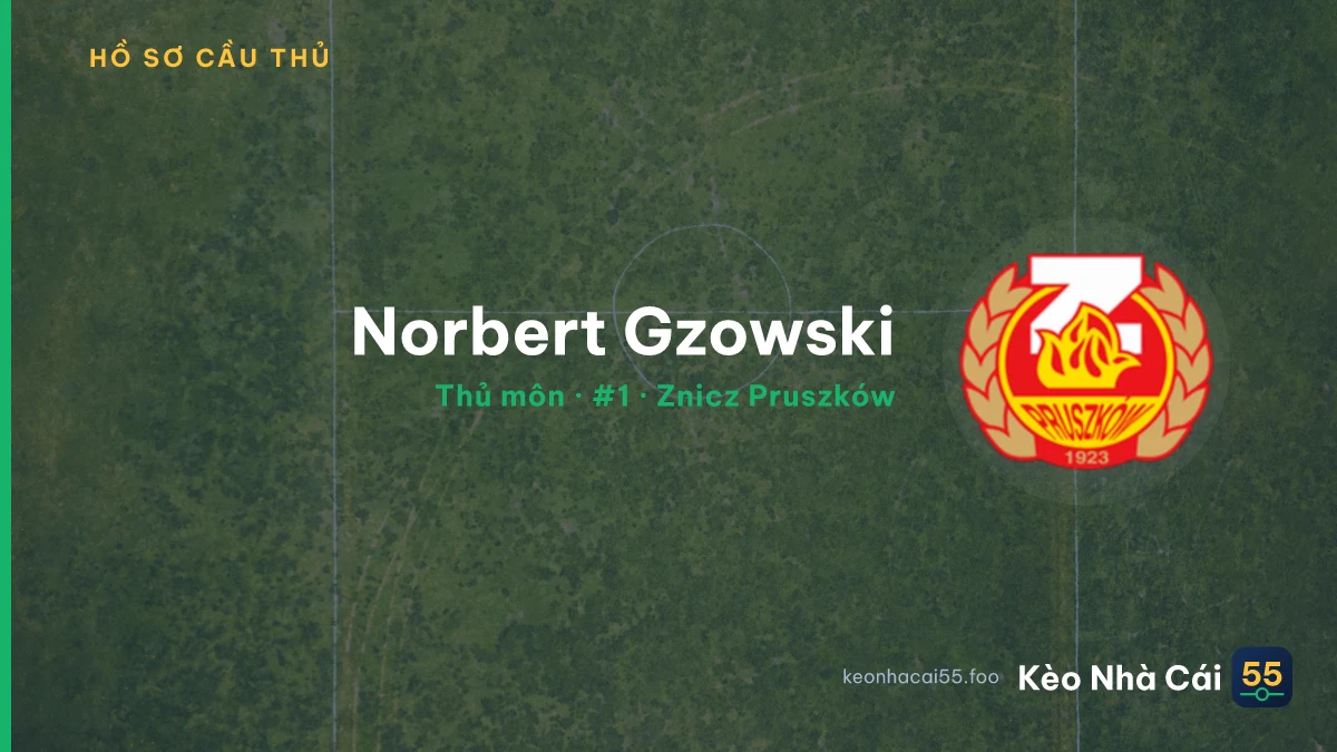 Norbert Gzowski — Znicz Pruszków