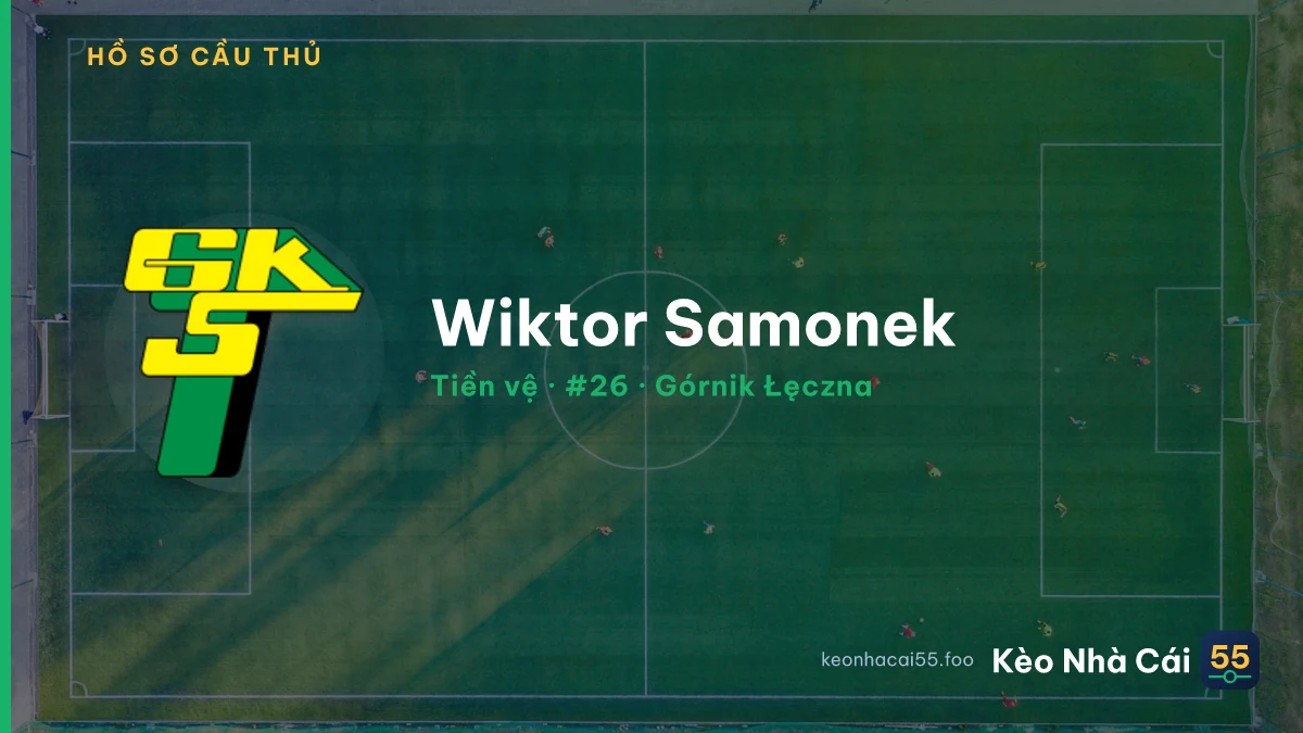 Wiktor Samonek — Górnik Łęczna