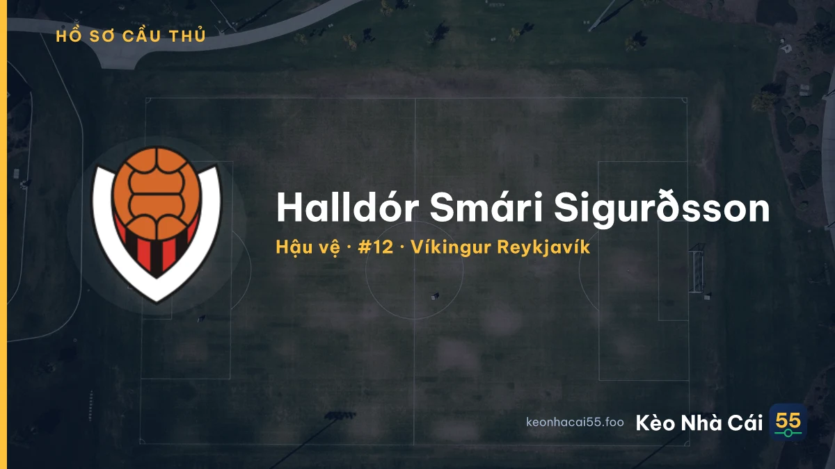 Halldór Smári Sigurðsson — Víkingur Reykjavík