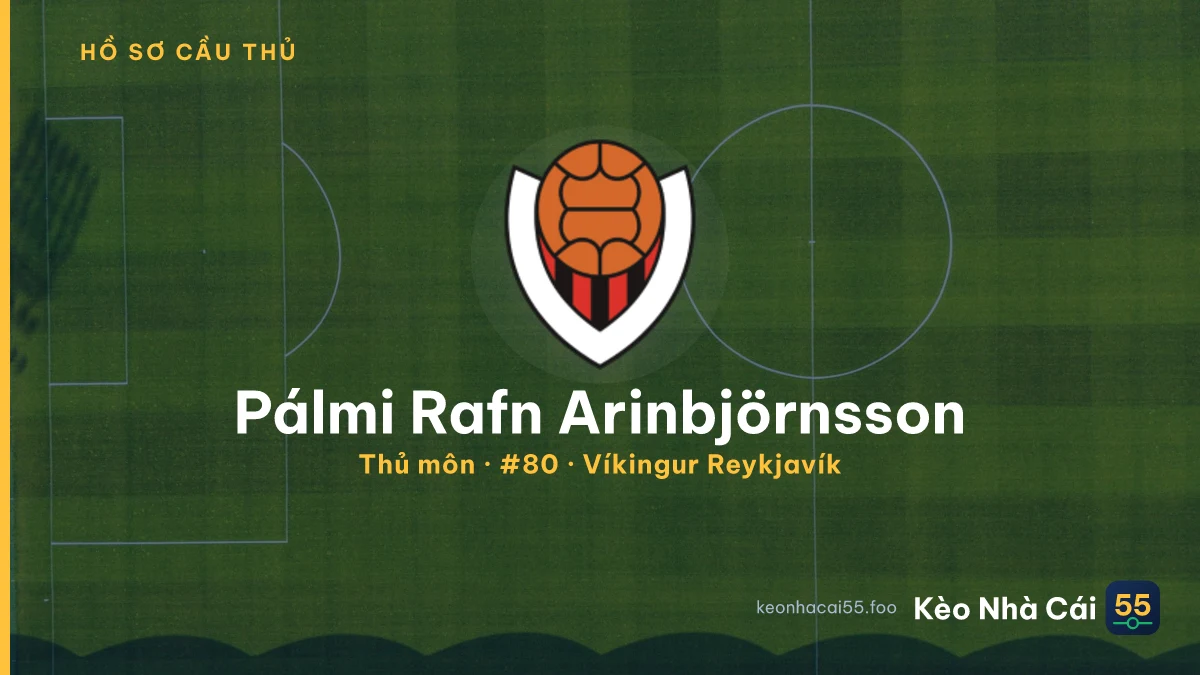 Pálmi Rafn Arinbjörnsson — Víkingur Reykjavík
