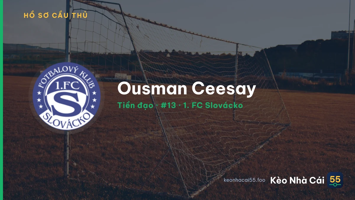 Ousman Ceesay — 1. FC Slovácko
