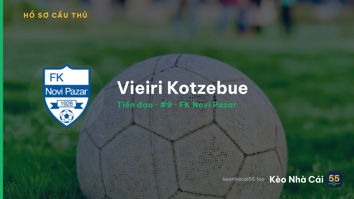 Vieiri Kotzebue — FK Novi Pazar