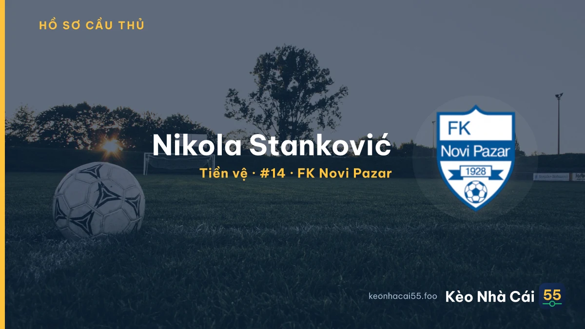 Nikola Stanković — FK Novi Pazar