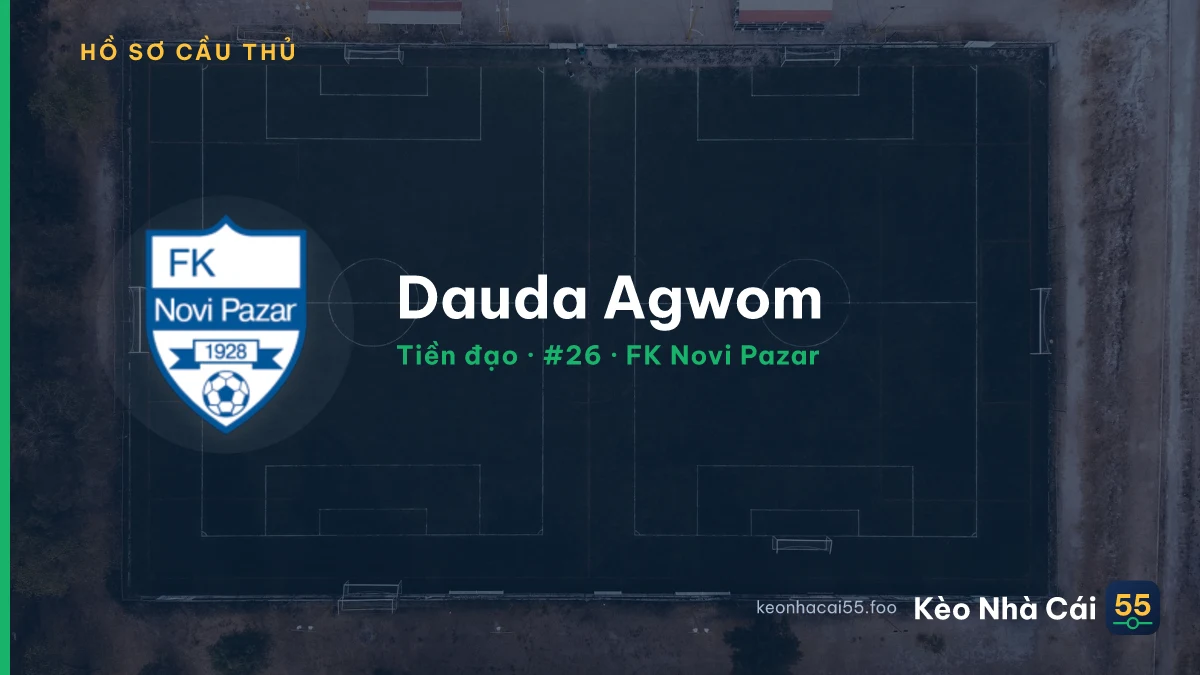 Dauda Agwom — FK Novi Pazar