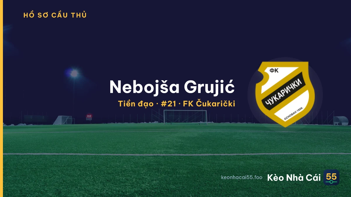 Nebojša Grujić — FK Čukarički