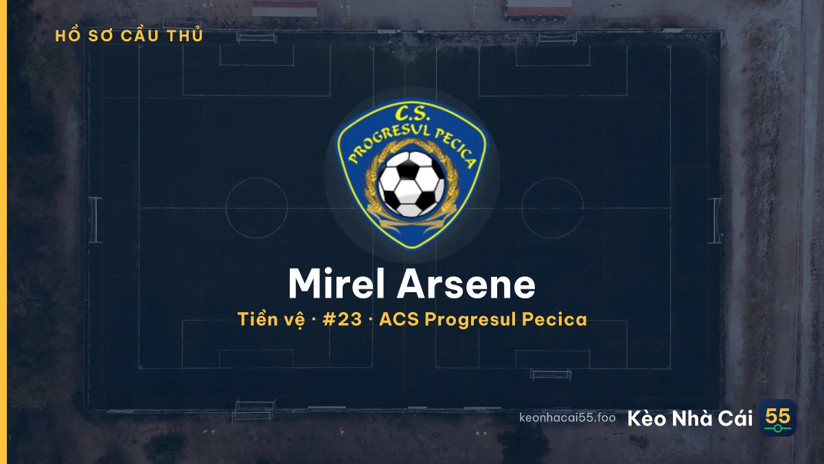 Mirel Arsene — ACS Progresul Pecica